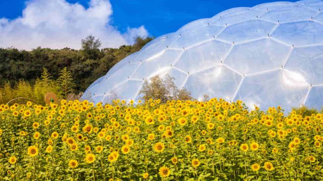 Cornwall’s Eden Project
