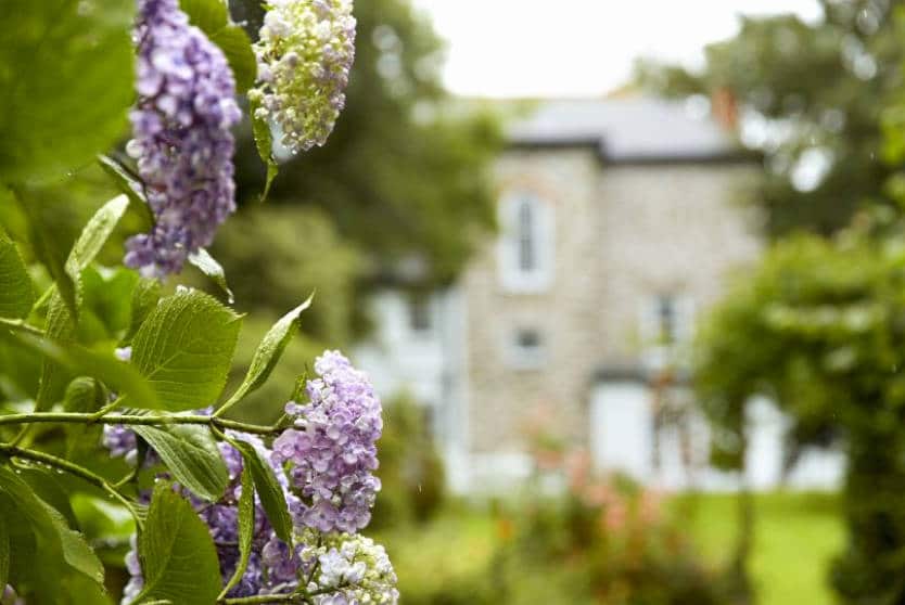 Rosemundy Villa Enclosed Garden, St Agnes, Cornwall